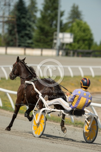 Standardbred Racing