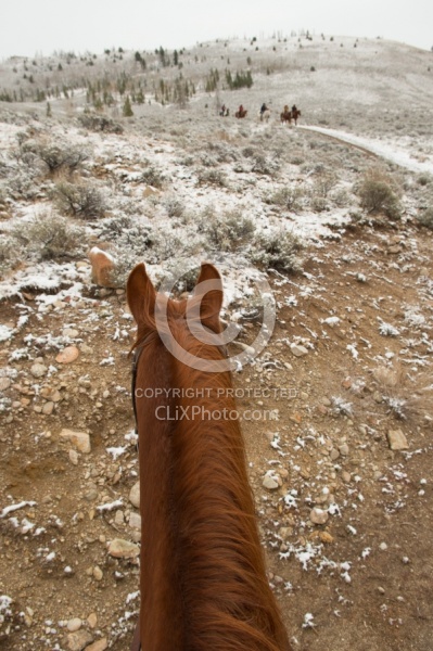 Trail Riding Winter Lazy C U Ranch