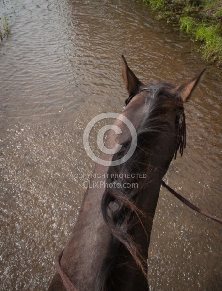 Horse Country Campground Water Crossing