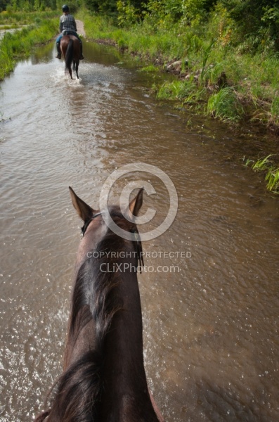 Horse Country Campground Water Crossing