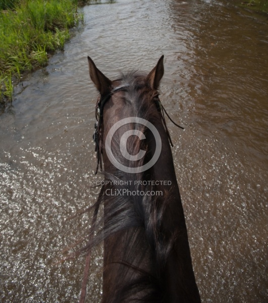 Horse Country Campground Water Crossing