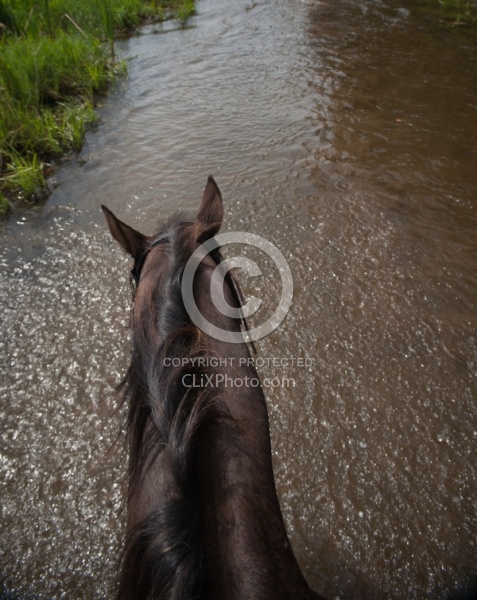 Horse Country Campground Water Crossing