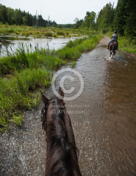 Horse Country Campground Water Crossing