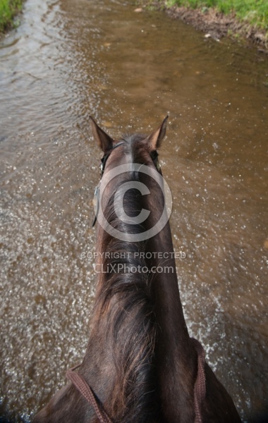 Horse Country Campground Water Crossing