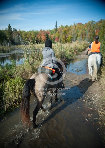 Water Crossing