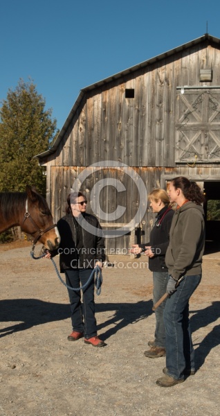 Pre Purchase Vet and Blacksmith