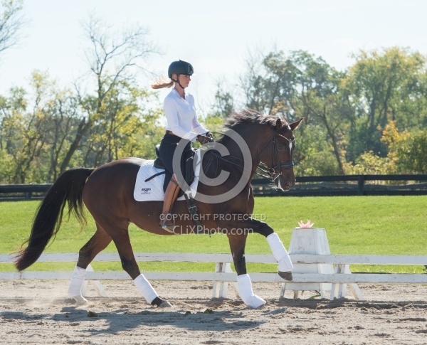 Tina irwin and Fancy That