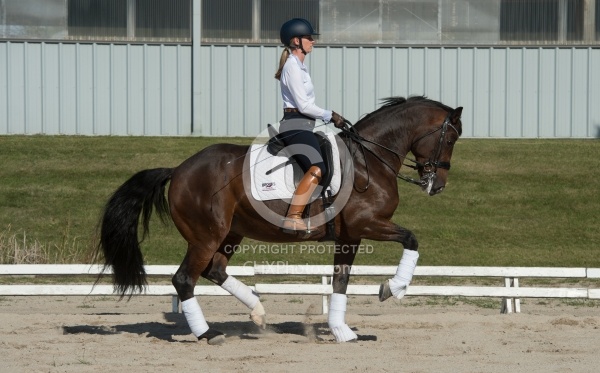 Tina irwin and Fancy That