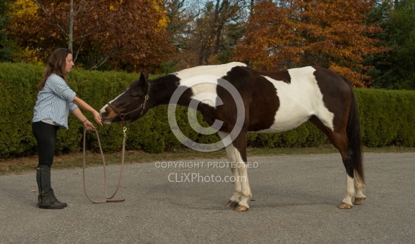 Rehab Rehab Strengthening Exercises