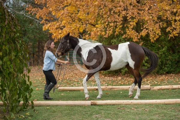 Rehab Rehab Strengthening Exercises