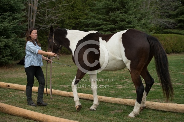 Rehab Rehab Strengthening Exercises