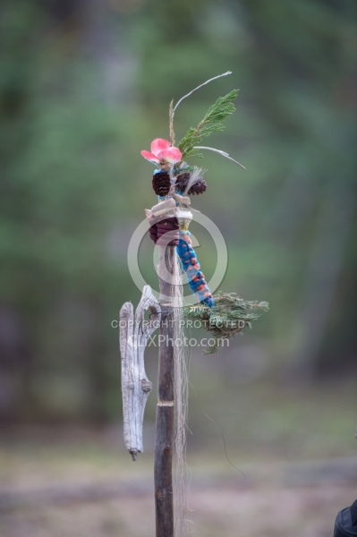 Collective Momentum to Terri