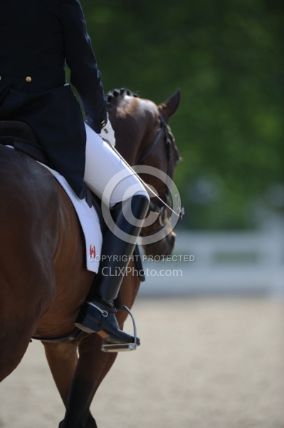 Rebecca Howard and Riddle Master Rolex 2011
