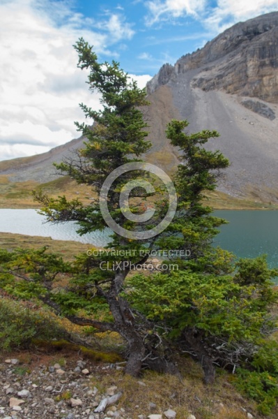 Lost Guide Lake Lost Guide Lake, Wild Deuce Women's Retreat