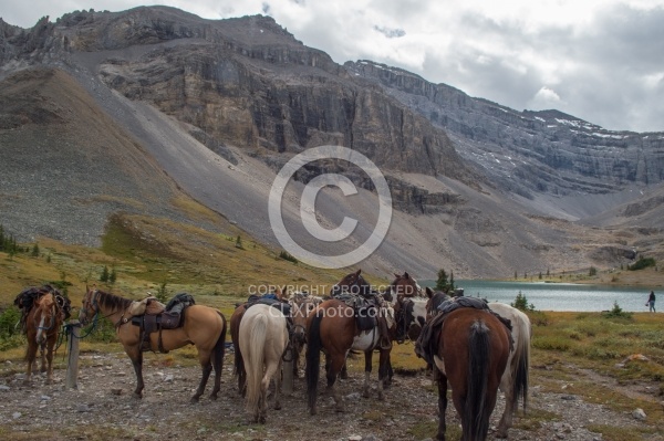 Lost Guide Lake Lost Guide Lake, Wild Deuce Women's Retreat