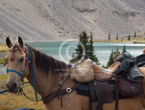 Lost Guide Lake Lost Guide Lake, Wild Deuce Women's Retreat
