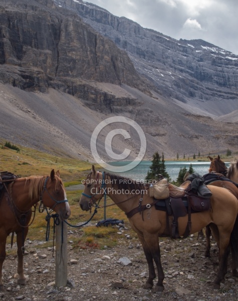 Lost Guide Lake Lost Guide Lake, Wild Deuce Women's Retreat