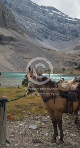 Lost Guide Lake Lost Guide Lake, Wild Deuce Women's Retreat