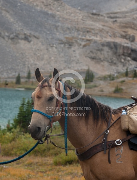 Lost Guide Lake, Wild Deuce Women's Retreat