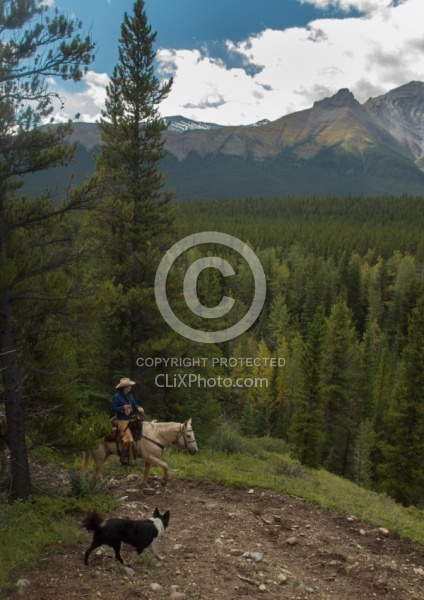 On the Trail On the Trail with Wild Deuce Outfitters