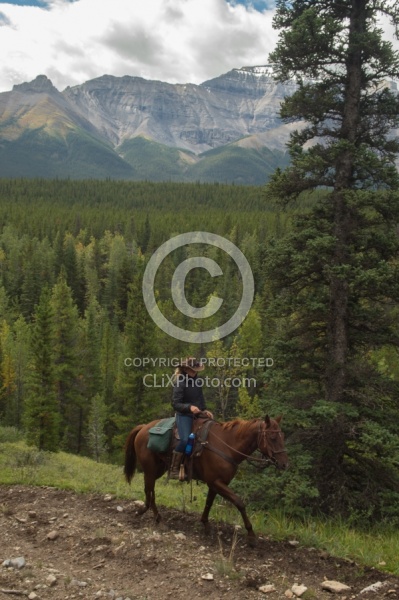 On the Trail On the Trail with Wild Deuce Outfitters