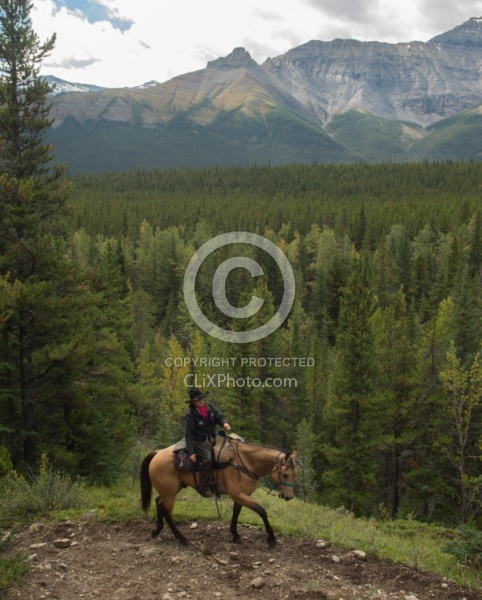 On the Trail On the Trail with Wild Deuce Outfitters