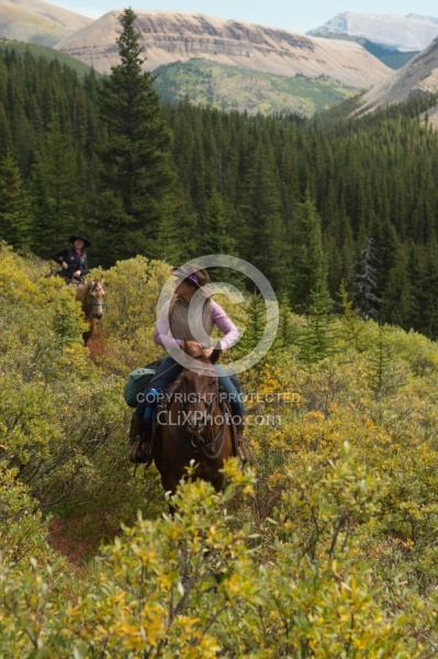 On the Trail On the Trail with Wild Deuce Outfitters
