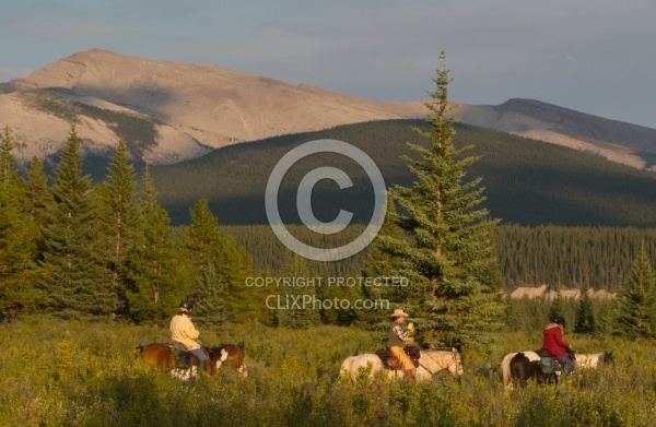 On the Trail On the Trail with Wild Deuce Outfitters