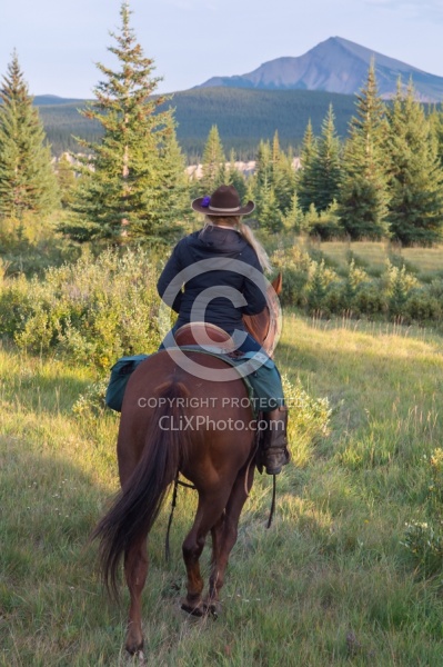 On the Trail On the Trail with Wild Deuce Outfitters