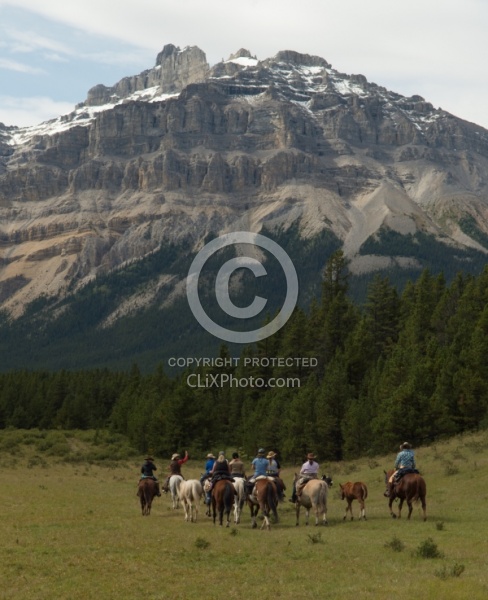 On the Trail On the Trail with Wild Deuce Outfitters
