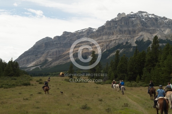 On the Trail On the Trail with Wild Deuce Outfitters