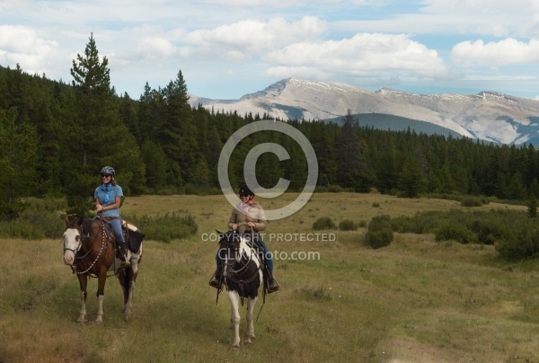 On the Trail On the Trail with Wild Deuce Outfitters