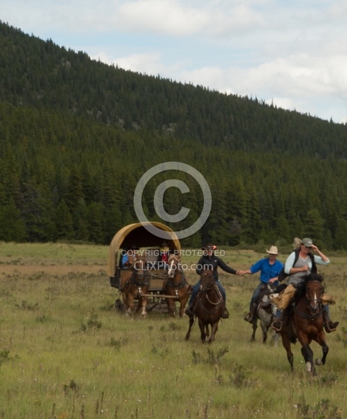 The Meadow Gallop On the Trail with Wild Deuce Outfitters