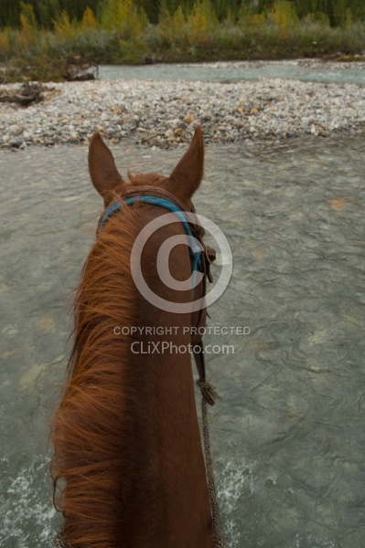 River Crossing with Wild Deuce Women's Retreat