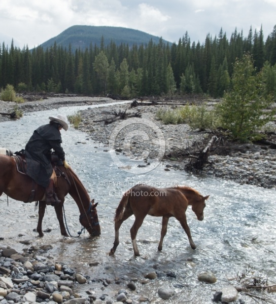 River Crossing with Wild Deuce Women's Retreat