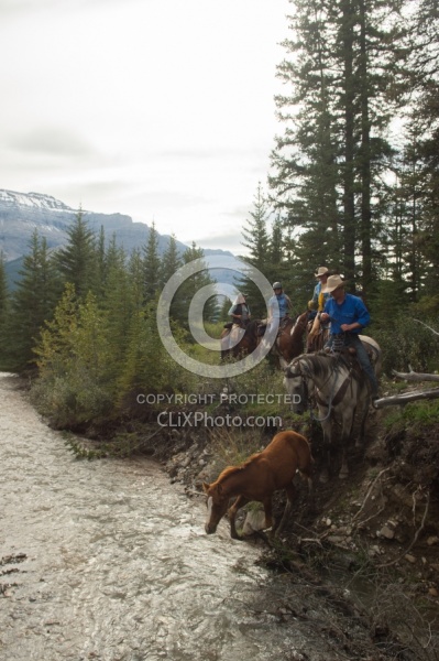 River Crossing with Wild Deuce Women's Retreat