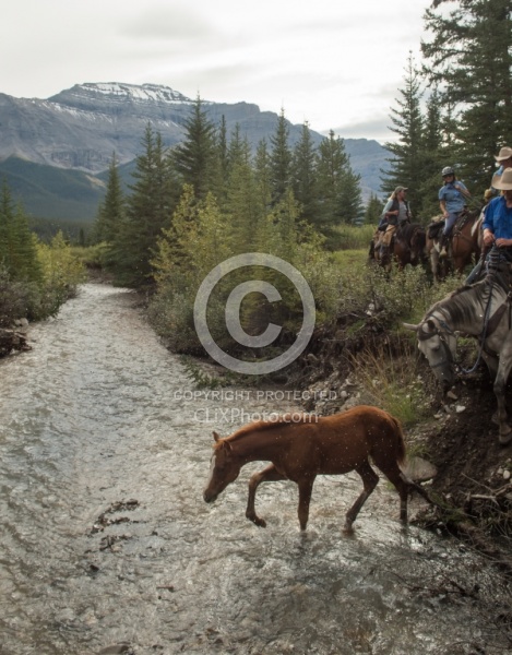River Crossing with Wild Deuce Women's Retreat