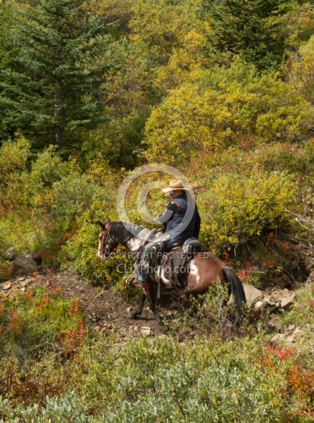 On the Trail at Wild Deuce Women's Retreat