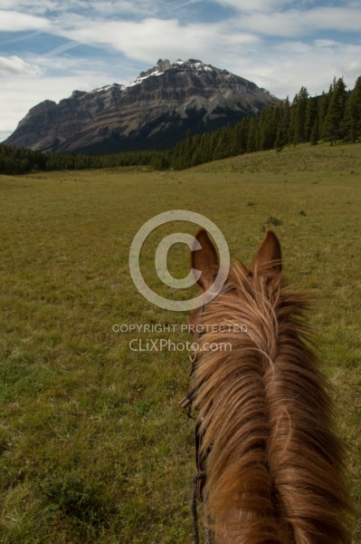 On the Trail at Wild Deuce Women's Retreat