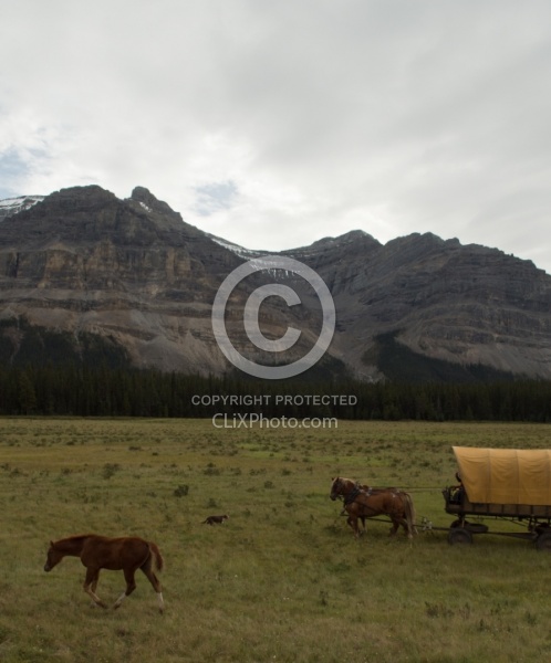 The Chuckwagon On the Trail at Wild Deuce Women's Retreat