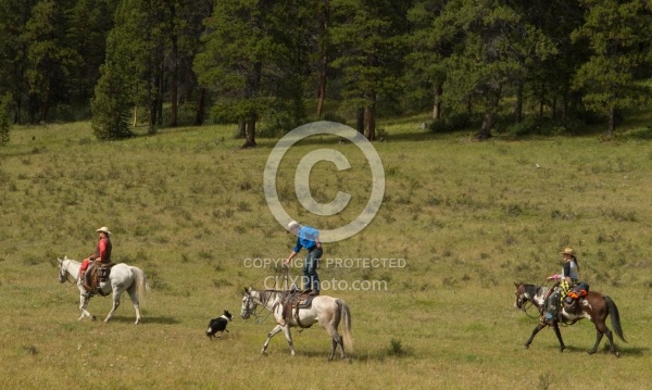Josh s Tricks Trick Riders