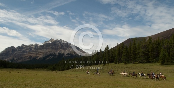 Josh s Tricks Trick Riders