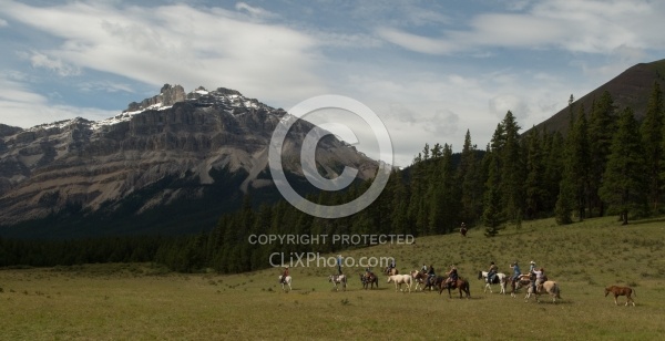 Josh s Tricks Trick Riders