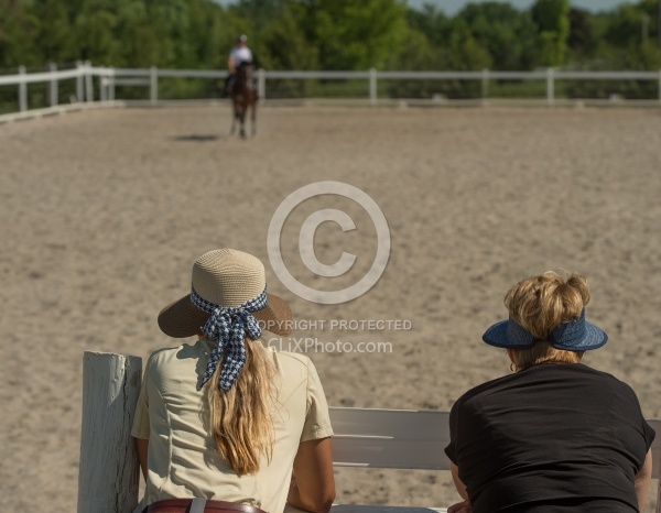 Horse Shopping,Watching Being Ridden