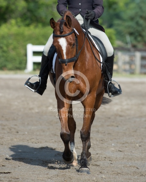 Horse Show General English