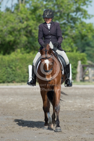 Horse Show General English