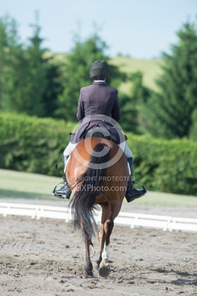 Horse Show General English