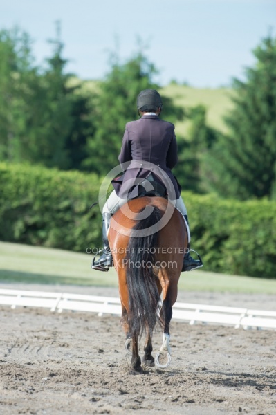 Horse Show General English