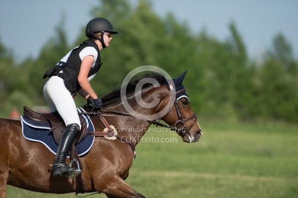 Equine Athlete, Eventing Lower Level