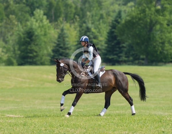 Equine Athlete, Eventing Lower Level